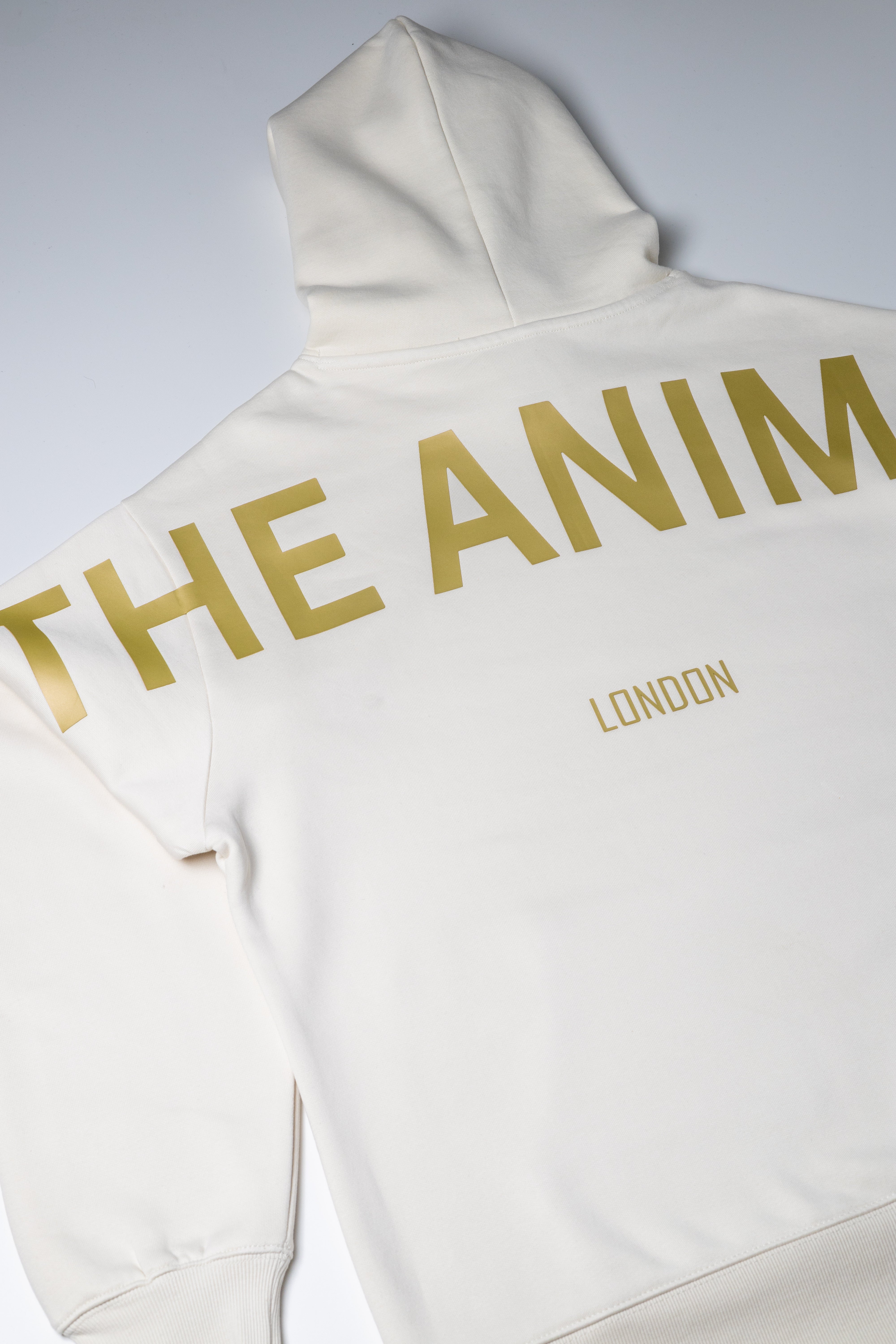 Strength in Every Stitch HOODIE