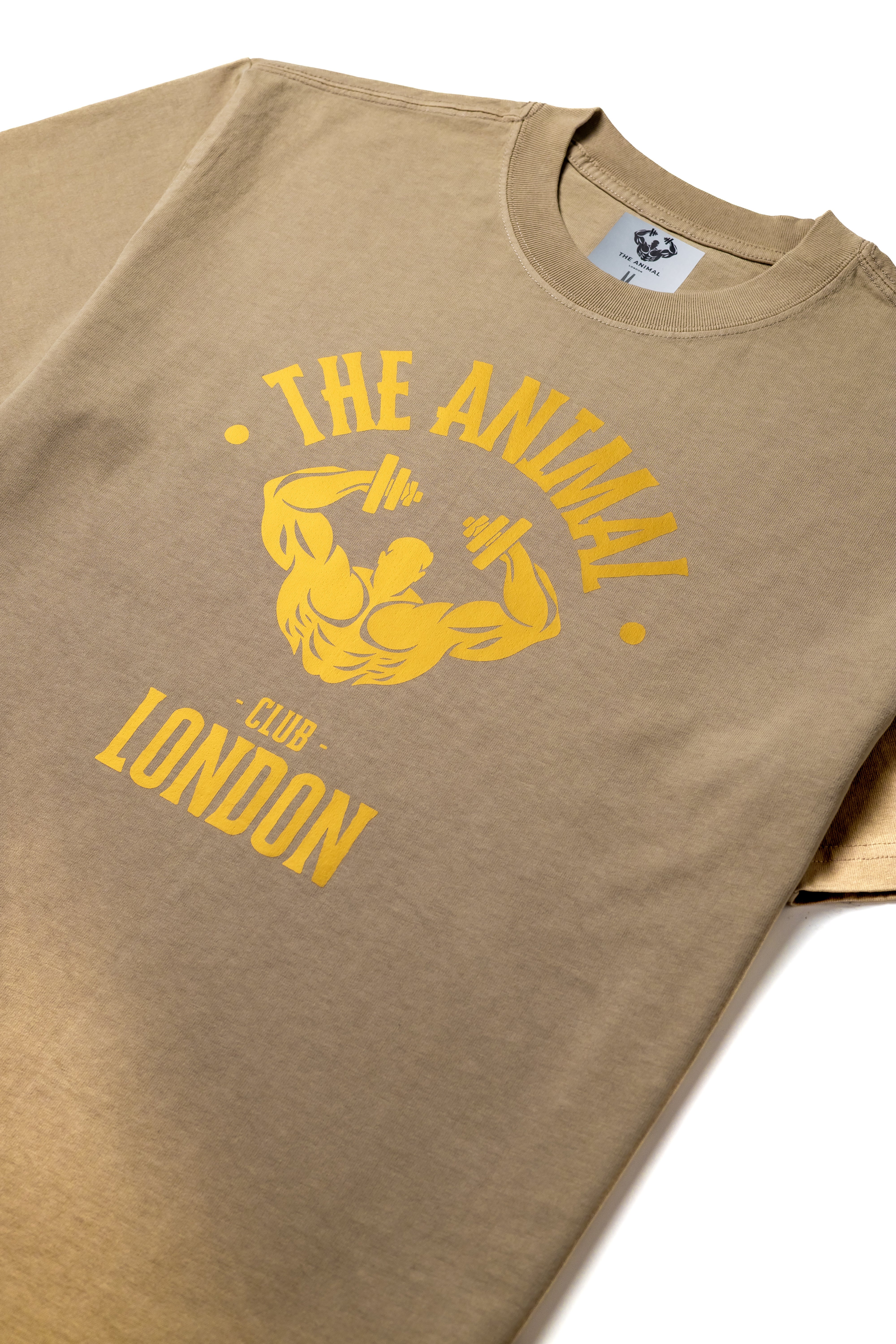 GOLD GYM CLUB T-SHIRT